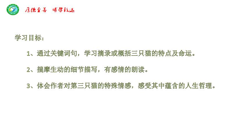 猫 教学课件05