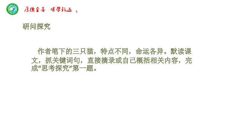 猫 教学课件06