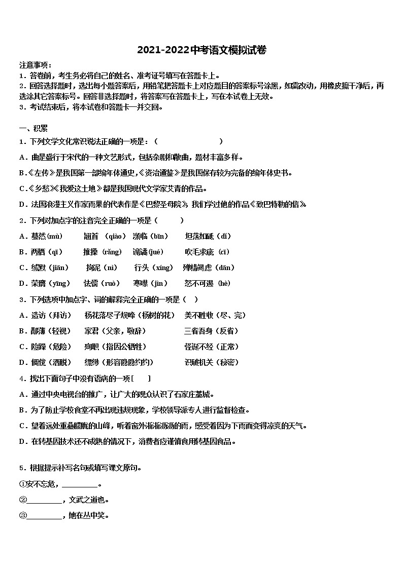 臨沂市2021-2022學(xué)年中考語文最后沖刺模擬試卷含解析第1頁