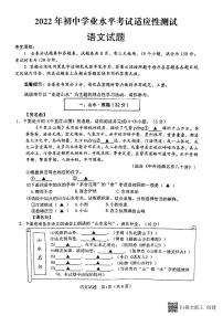 2022年浙江省寧波市余姚市初中學(xué)業(yè)水平考試適應(yīng)性測(cè)試（一模）語(yǔ)文試題（有答案）