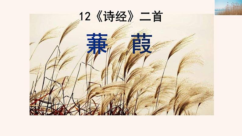 蒹葭优质课件第1页