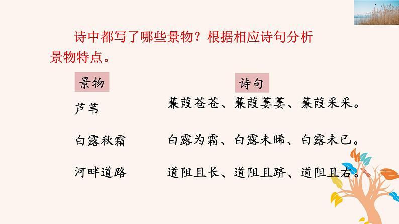 蒹葭优质课件第7页