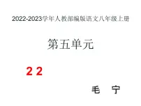 初中语文22* 梦回繁华授课ppt课件