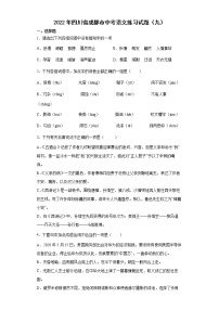 2022年四川省成都市中考语文练习试题（九）