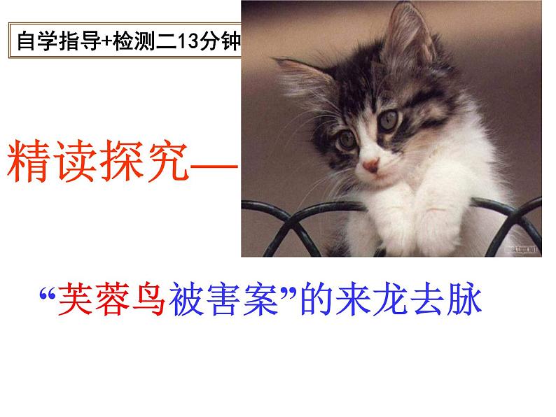第16课《猫》课件2021-2022学年部编版语文七年级上册08