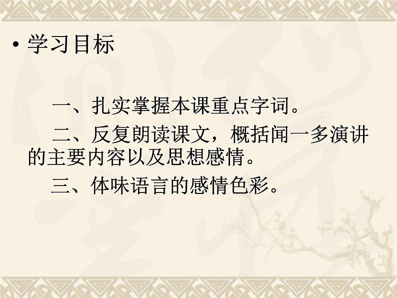13《最后一次讲演》课件ppt12第2页