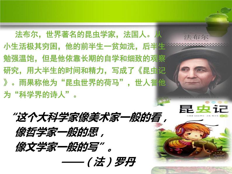 20 蝉 课件(共12张PPT)第5页