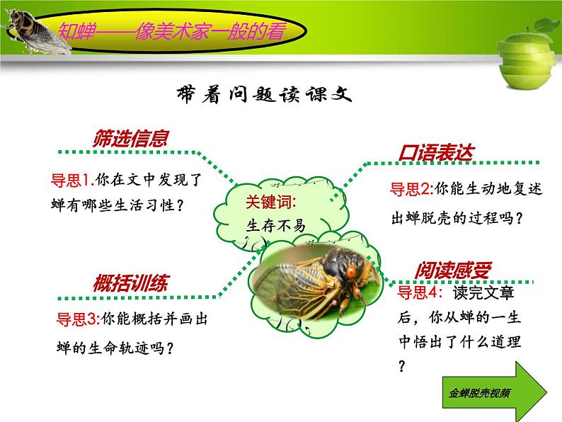 20 蝉 课件(共12张PPT)第6页