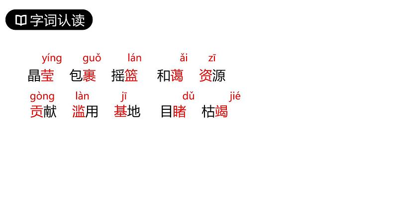 18.《只有一个地球》(共16张ppt)04