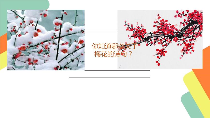 人教部編版八年級(jí)語文下冊(cè)《卜算子·詠梅》課件第1頁
