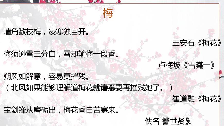 人教部編版八年級(jí)語文下冊(cè)《卜算子·詠梅》課件第2頁
