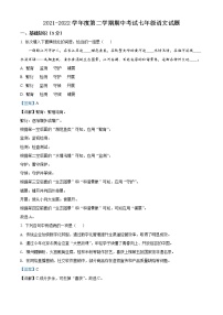 湖北省武汉市汉阳区2021-2022学年七年级下学期期中语文试题（解析版）
