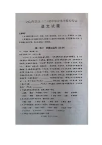2022年山东省潍坊市诸城市中考三模语文试题（含答案）