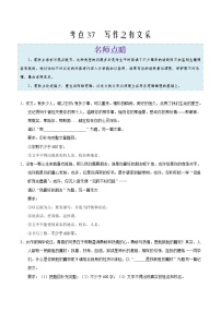 2022年中考语文考点冲刺 考点37 写作之有文采