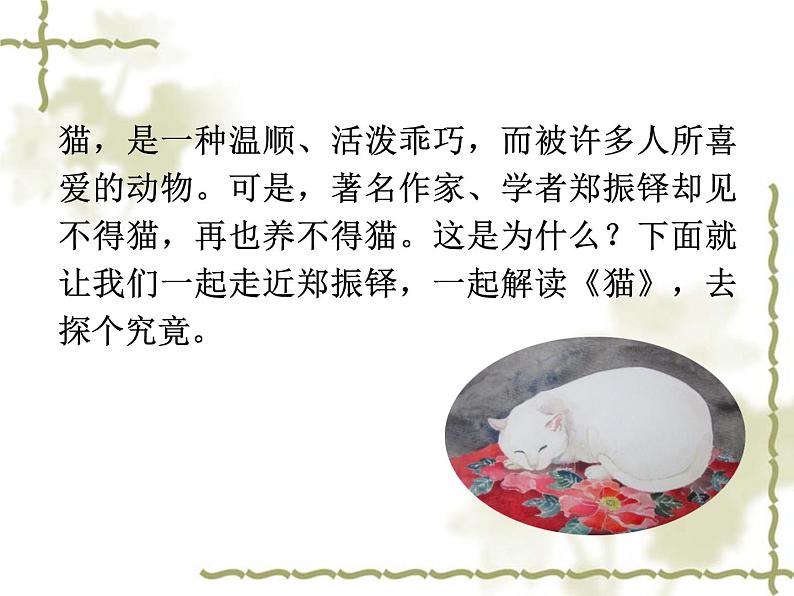 《猫》ppt课件02