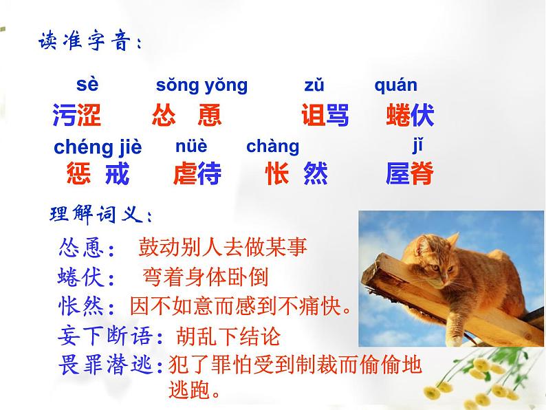 《猫》ppt课件05