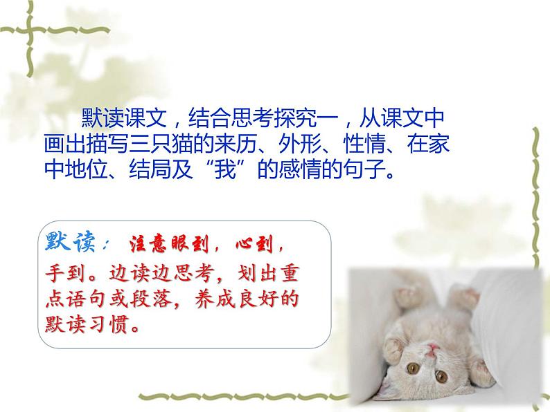 《猫》ppt课件08