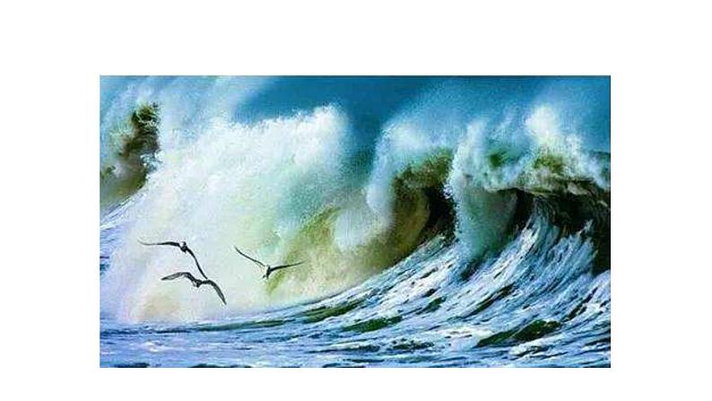 部编版语文九年级下册《海燕》同步课件第6页