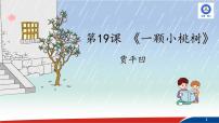 語文七年級下冊19* 一棵小桃樹課前預(yù)習(xí)課件ppt
