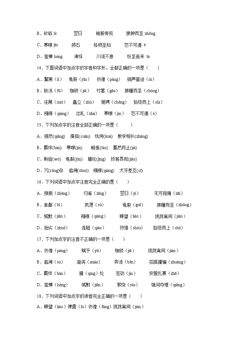 专题01 字音-2021-2022学年八年级语文下学期期末专项复习(部编版)03