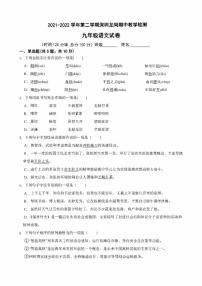 广东省深圳市龙岗区2021-2022学年九年级下学期期中教学检测语文试题含答案