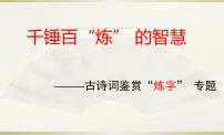 2022年中考语文专题复习:古诗词鉴赏“炼字” 专题课件(共14张PPT)