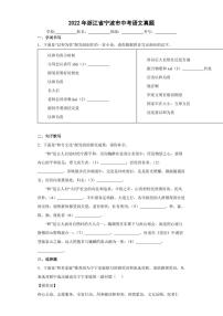 【中考真题】2022年浙江省宁波市中考语文试卷（附答案）