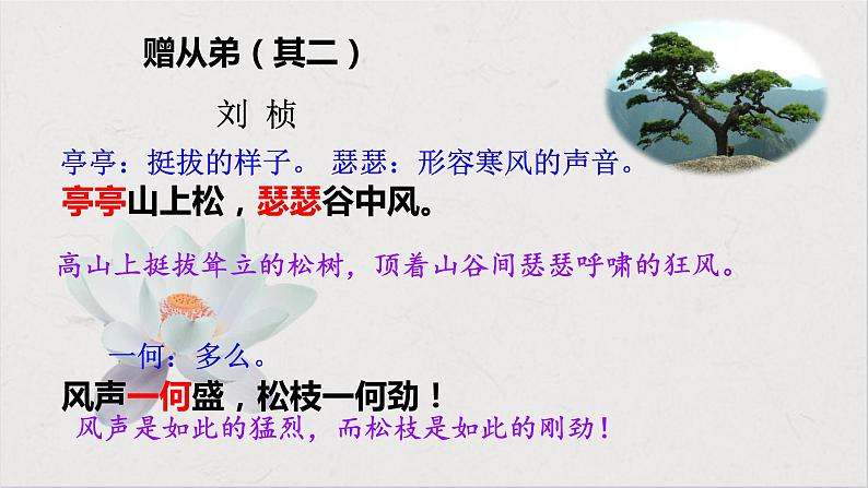 第三单元课外古诗词诵读《赠从弟》《梁甫行》课件2022-2023学年部编版语文八年级上册第6页