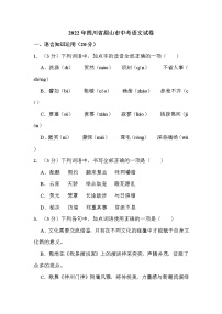2022年四川省眉山市中考語文試卷解析版