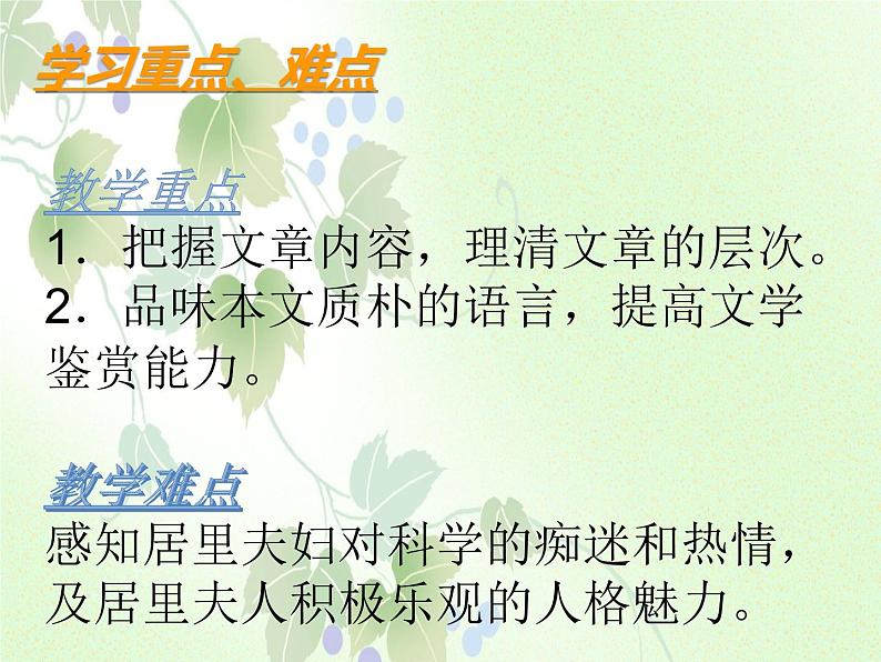 人教部编版语文八年级上册 第二单元 9美丽的颜色 课件第3页