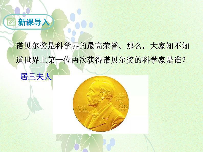 人教部编版语文八年级上册 第二单元 9美丽的颜色 课件第4页