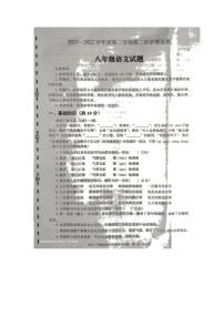 山東省濟(jì)寧市金鄉(xiāng)縣2021-2022學(xué)年八年級下學(xué)期期末語文試卷（含答案）