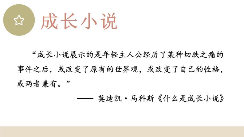 初中语文 统编版 九年级下 名著导读《简·爱》 《简·爱》名著导读 课件08