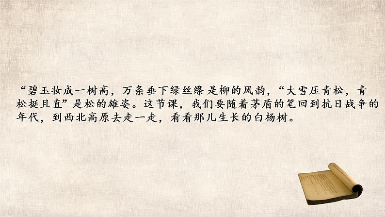 初中 初二 语文《白杨礼赞》第一课时 课件02