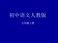 初中语文人教部编版九年级上册无题教学演示ppt课件