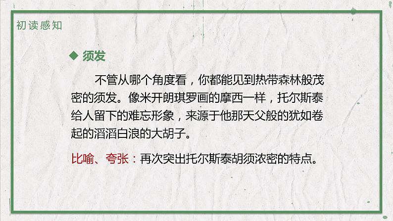 部编版语文八年级上册 教学课件_列夫·托尔斯泰08