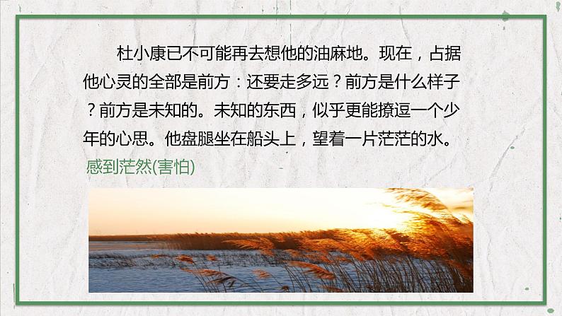 部编版语文九年级上册 教学课件_孤独之旅1第7页