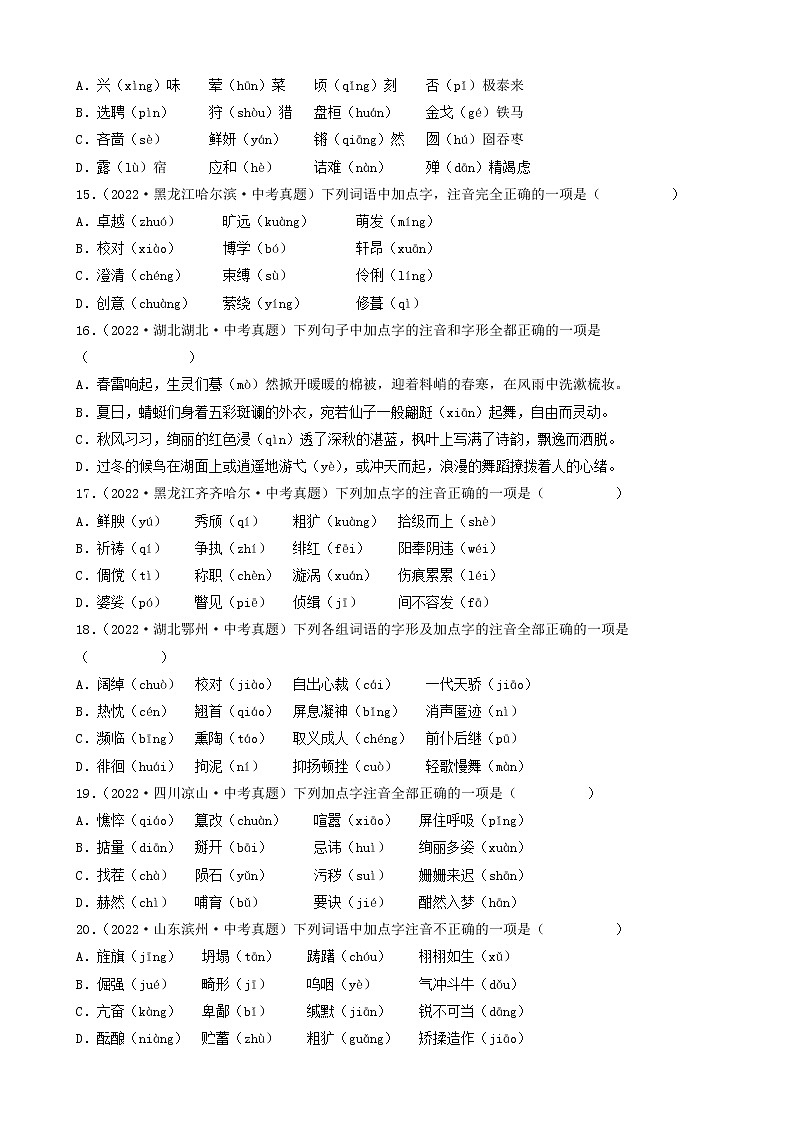 2023年中考语文专项训练-考点01字音 真题汇编第3页