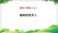 初中语文人教部编版七年级上册13 植树的牧羊人教学ppt课件