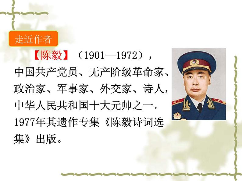 部编版语文九年级下册 教学课件_梅岭三章3第5页