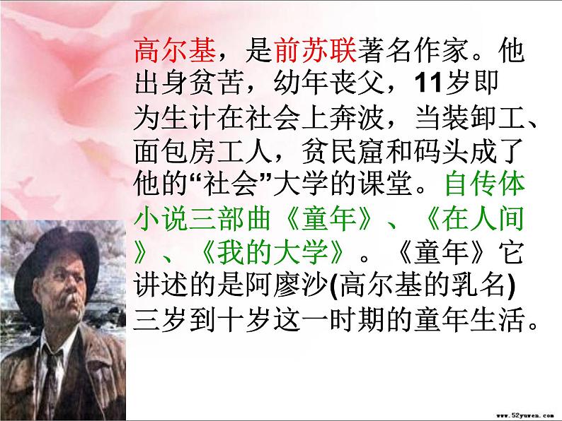 部编版七年级语文上册--名著导读《朝花夕拾》:消除与经典的隔膜-课件3第8页