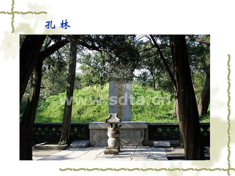 部编版七年级语文上册--12《论语十二章》课件3第5页