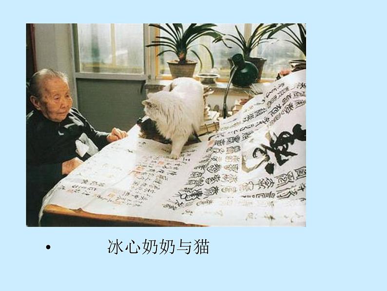 部编版七年级语文上册--16《猫》课件05