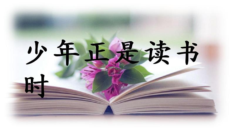 部编版七年级语文上册--综合性学习《少年正是读书时》课件4第1页