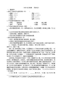 初中语文人教部编版八年级上册列夫·托尔斯泰达标测试