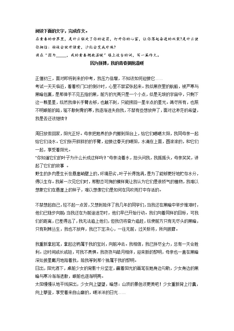 专题09 《因为拼搏,我的青春拥抱温暖》第1页