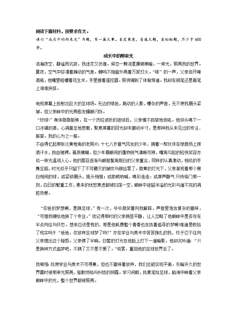 专题11 《成长中的那束光》第1页