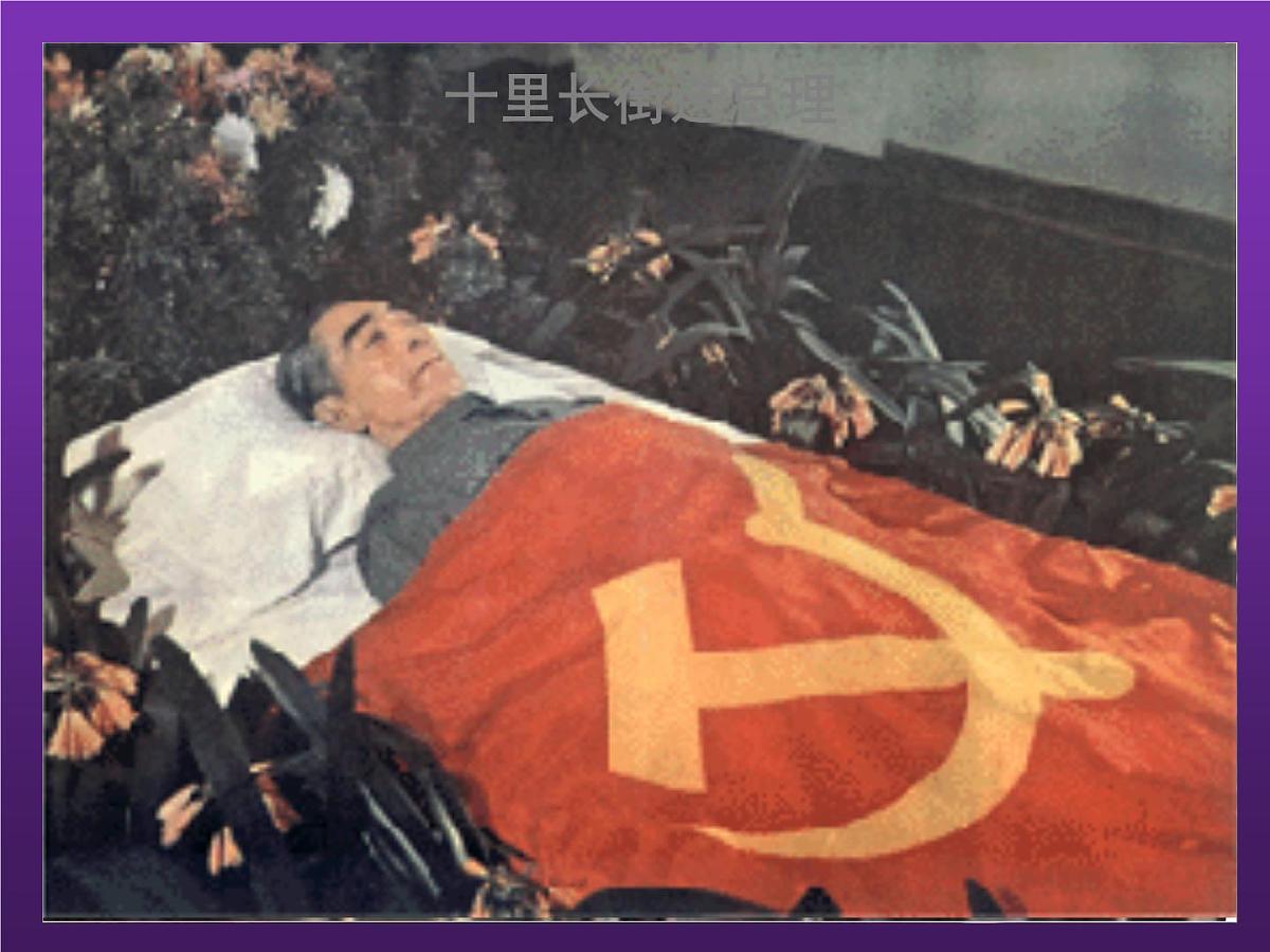 部编版九年级语文上册--2.周总理,你在哪里--课件1第2页