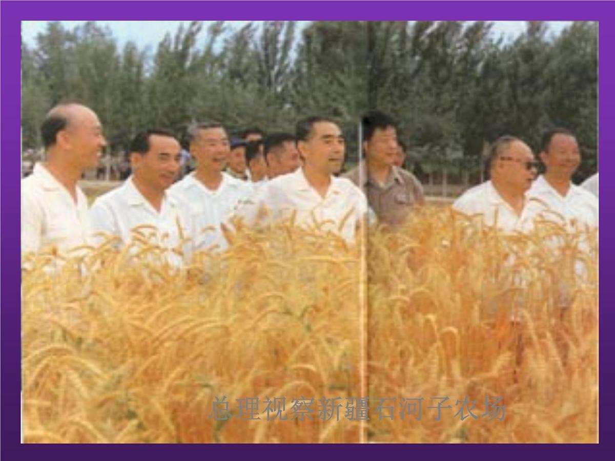 部编版九年级语文上册--2.周总理,你在哪里--课件1第8页