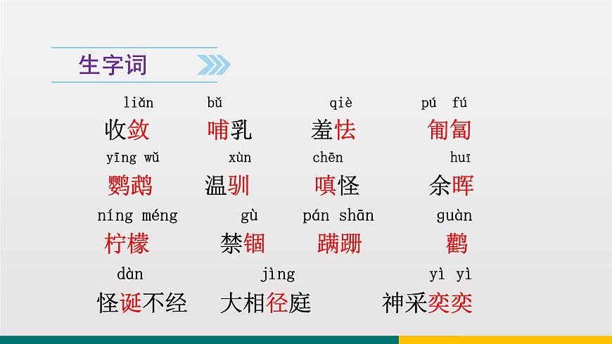 統(tǒng)編版中學(xué)語文七年級上 第五單元 17  動物笑談 課件第5頁